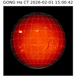 gong - 2026-02-01T15:00:42