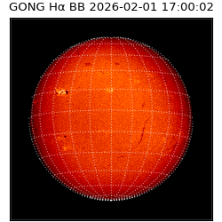 gong - 2026-02-01T17:00:02