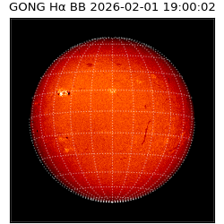 gong - 2026-02-01T19:00:02