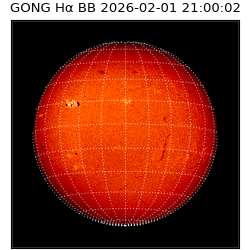 gong - 2026-02-01T21:00:02