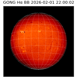 gong - 2026-02-01T22:00:02
