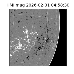 shmi - 2026-02-01T04:58:30.800000