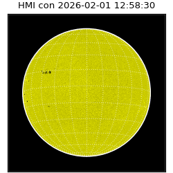 shmi - 2026-02-01T12:58:30.700000