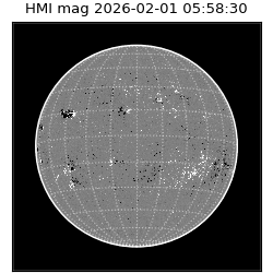 shmi - 2026-02-01T05:58:30.800000