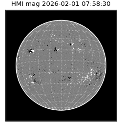 shmi - 2026-02-01T07:58:30.800000