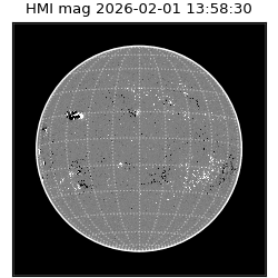 shmi - 2026-02-01T13:58:30.700000