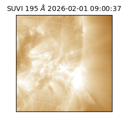 suvi - 2026-02-01T09:00:37.793000