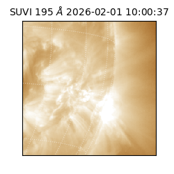 suvi - 2026-02-01T10:00:37.975000