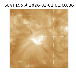 suvi - 2026-02-01T01:00:36.335000