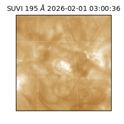 suvi - 2026-02-01T03:00:36.699000