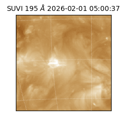 suvi - 2026-02-01T05:00:37.063000