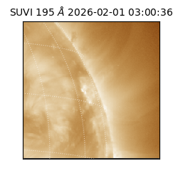 suvi - 2026-02-01T03:00:36.699000