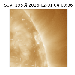 suvi - 2026-02-01T04:00:36.881000