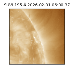 suvi - 2026-02-01T06:00:37.249000