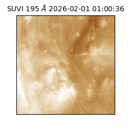 suvi - 2026-02-01T01:00:36.335000