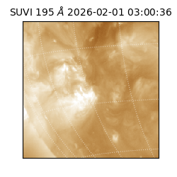 suvi - 2026-02-01T03:00:36.699000