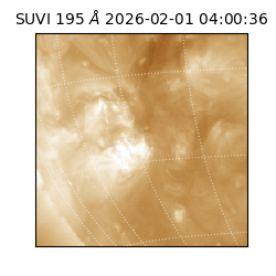 suvi - 2026-02-01T04:00:36.881000