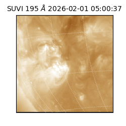 suvi - 2026-02-01T05:00:37.063000