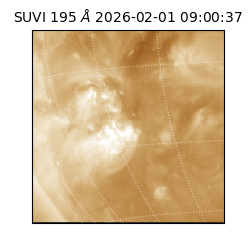 suvi - 2026-02-01T09:00:37.793000