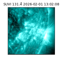 suvi - 2026-02-01T13:02:08.530000