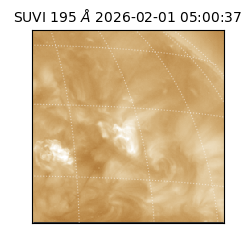 suvi - 2026-02-01T05:00:37.063000