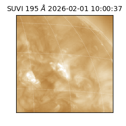 suvi - 2026-02-01T10:00:37.975000