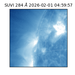 suvi - 2026-02-01T04:59:57.053000