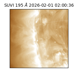 suvi - 2026-02-01T02:00:36.517000