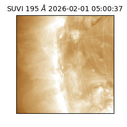 suvi - 2026-02-01T05:00:37.063000