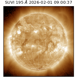 suvi - 2026-02-01T09:00:37.793000