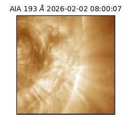 saia - 2026-02-02T08:00:07.108000