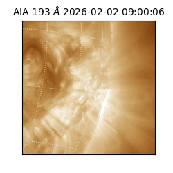 saia - 2026-02-02T09:00:06.421000