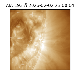 saia - 2026-02-02T23:00:04.843000