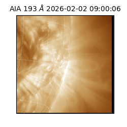 saia - 2026-02-02T09:00:06.421000