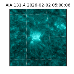 saia - 2026-02-02T05:00:06.622000