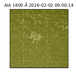 saia - 2026-02-02T09:00:14.129000