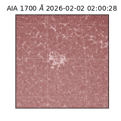 saia - 2026-02-02T02:00:28.717000