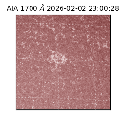 saia - 2026-02-02T23:00:28.718000