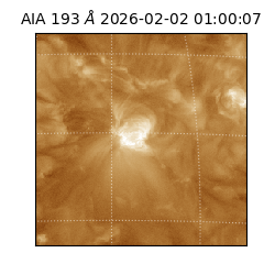 saia - 2026-02-02T01:00:07.347000