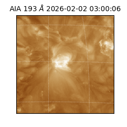 saia - 2026-02-02T03:00:06.711000