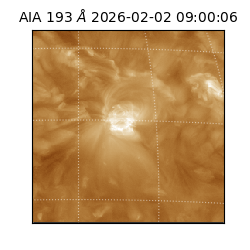 saia - 2026-02-02T09:00:06.421000