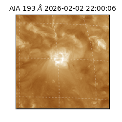 saia - 2026-02-02T22:00:06.187000