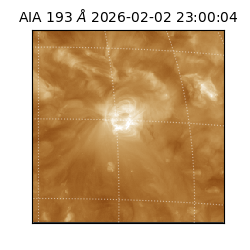 saia - 2026-02-02T23:00:04.843000