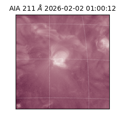 saia - 2026-02-02T01:00:12.641000