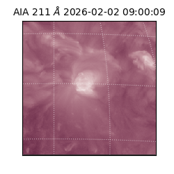 saia - 2026-02-02T09:00:09.624000