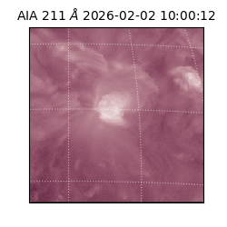 saia - 2026-02-02T10:00:12.799000