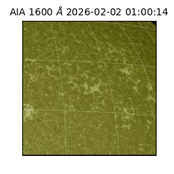 saia - 2026-02-02T01:00:14.122000