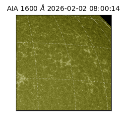 saia - 2026-02-02T08:00:14.126000