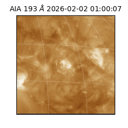 saia - 2026-02-02T01:00:07.347000