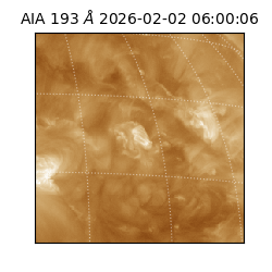 saia - 2026-02-02T06:00:06.624000